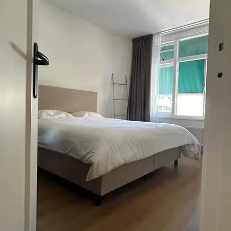 Seepaardje * Den Haag