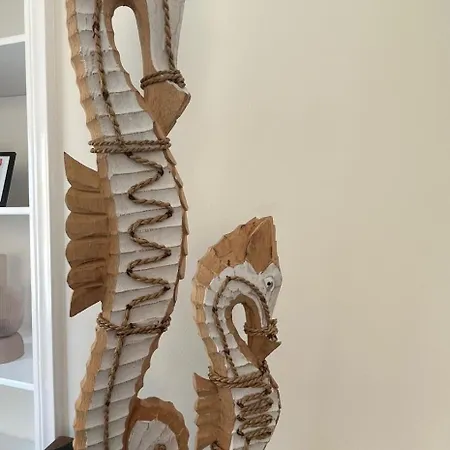 Seepaardje * لاهاي