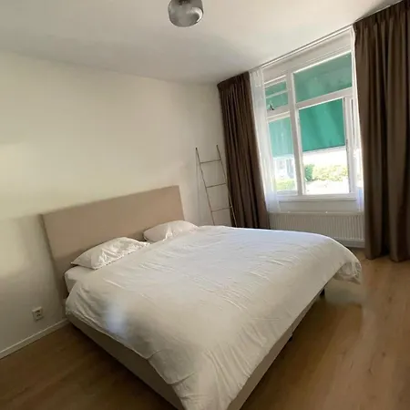 Seepaardje Den Haag